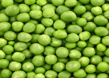 Green Peas