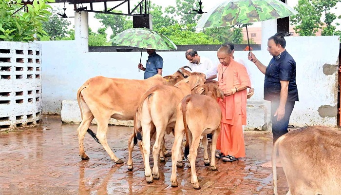 CM Yogi