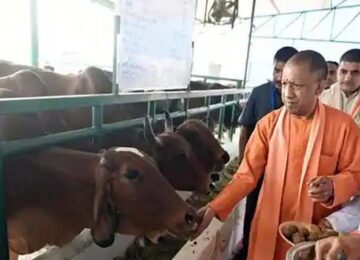 CM Yogi