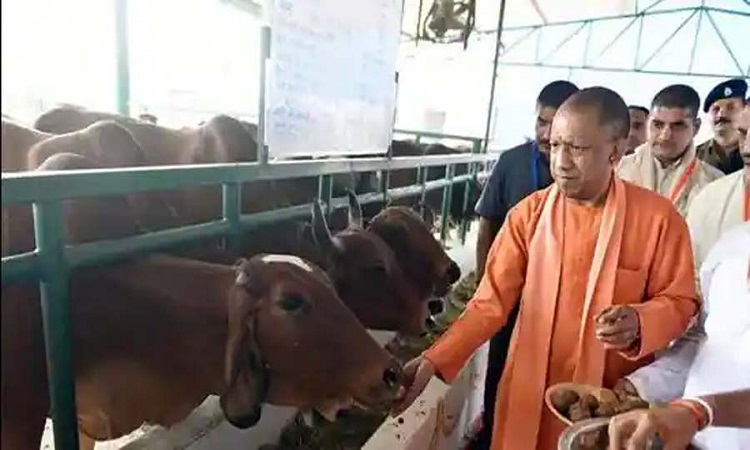 CM Yogi