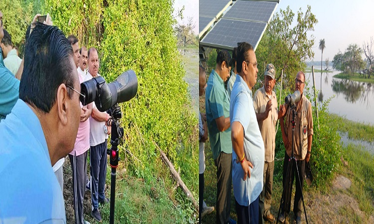 CM Bhajanlal Sharma inspected Keoladeo Ghana National Park