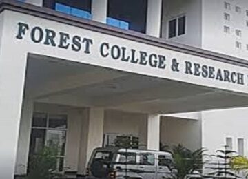 Forestry University