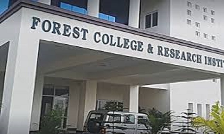 Forestry University