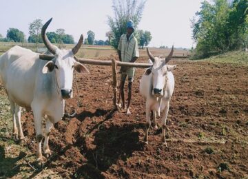 Natural Farming